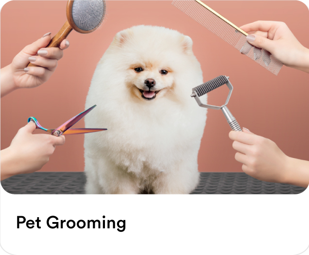 Pet Grooming Services- Get up to AED 60 Off on your first order